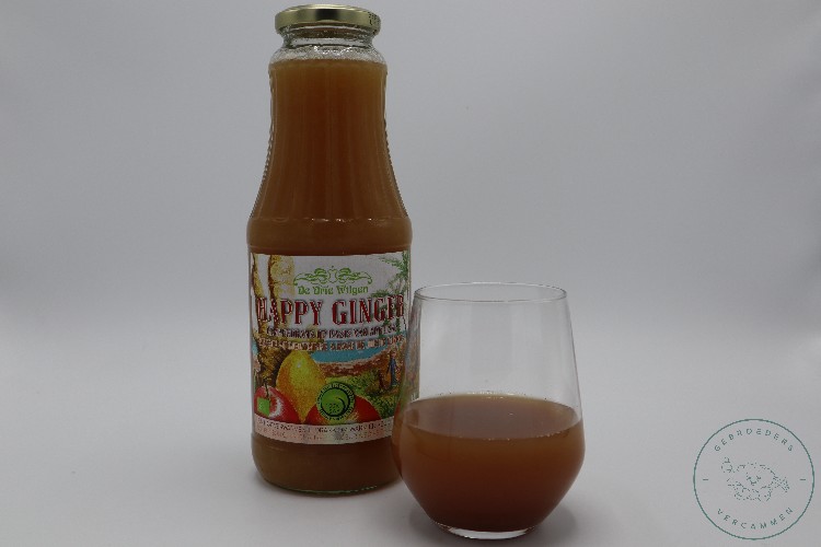   HAPPY GINGER FLES 1L