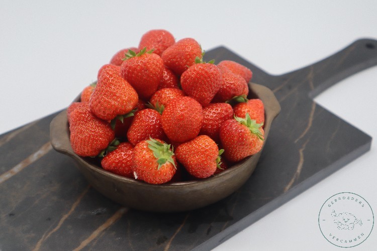   AARDBEI BELG EXTRA 500 GR 