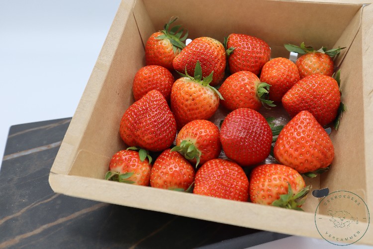   AARDBEI SPANJE SCHAAL 500GR